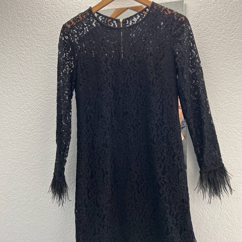 Lace dress with feather detail